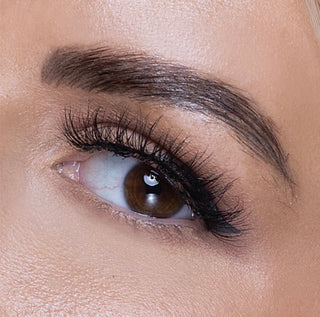 Reign Lashes | Heir | Glue On 3D Mink Luxury Lashes-Reign Lashes-Reign-The Twisted Chandelier